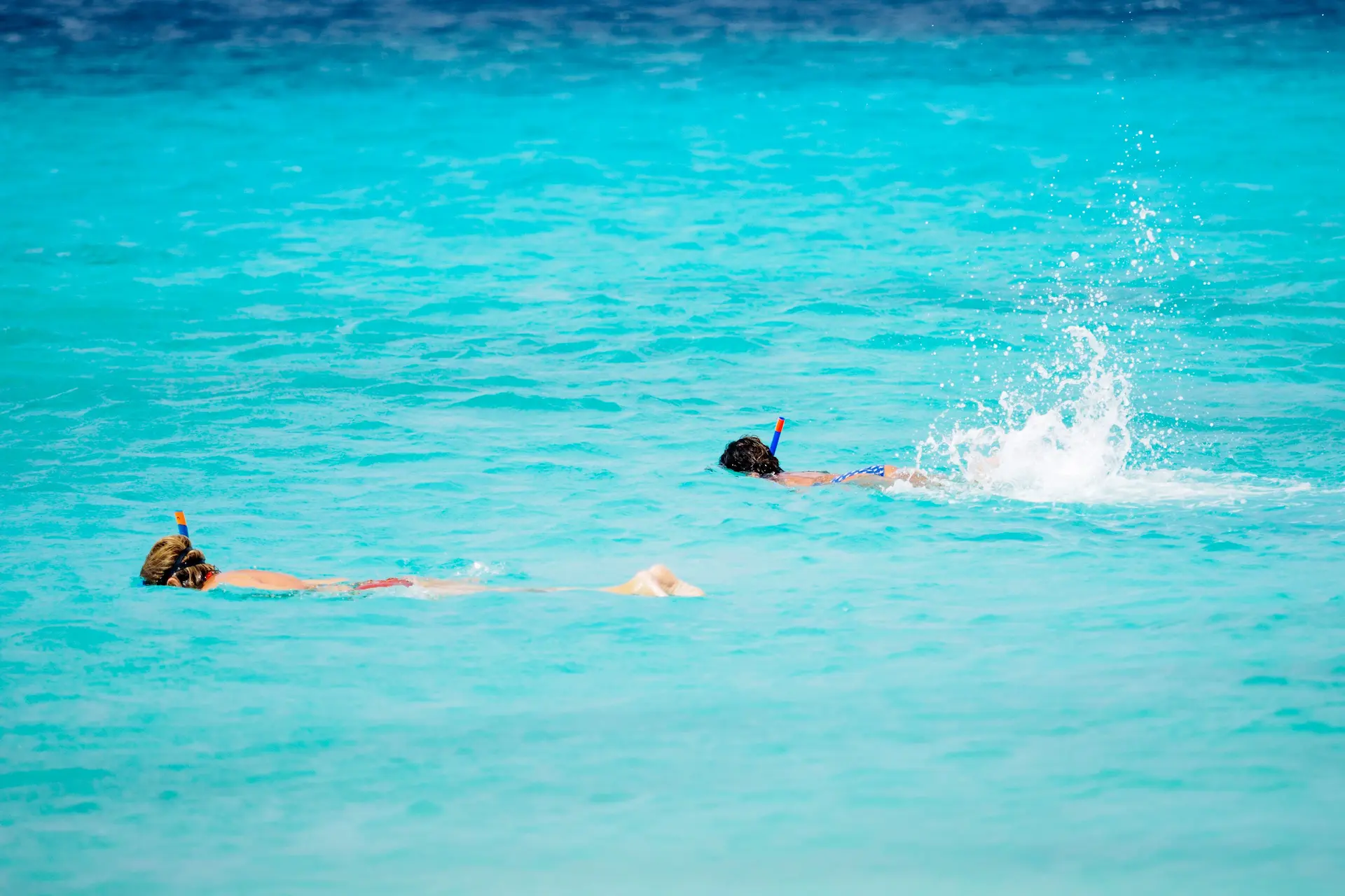 Snorkelling Reef