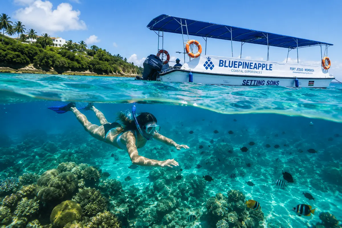 Snorkelling Reef